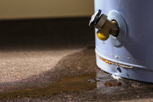 Best Flood damage cleanup  in Wakeman, OH