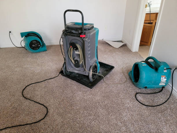Best Basement water damage restoration  in Wakeman, OH