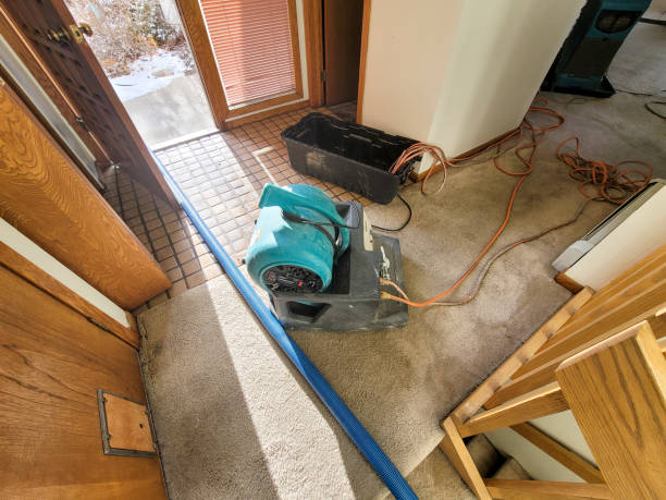 Best Water damage restoration company  in Wakeman, OH