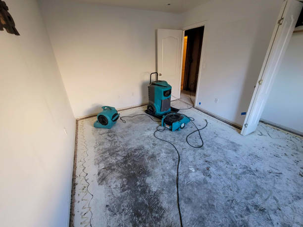 Best Professional water damage repair  in Wakeman, OH