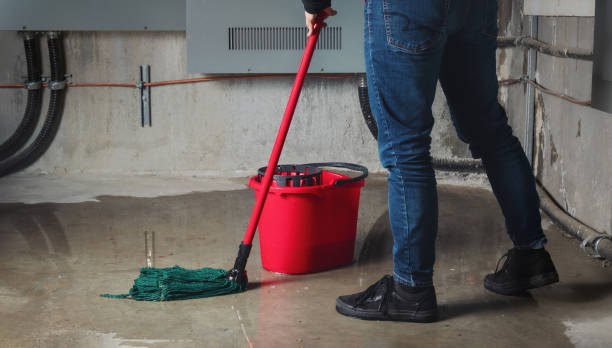 Best Fire Damage Restoration  in Wakeman, OH