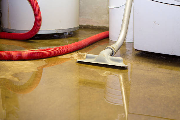 Best Water damage restoration insurance claims  in Wakeman, OH