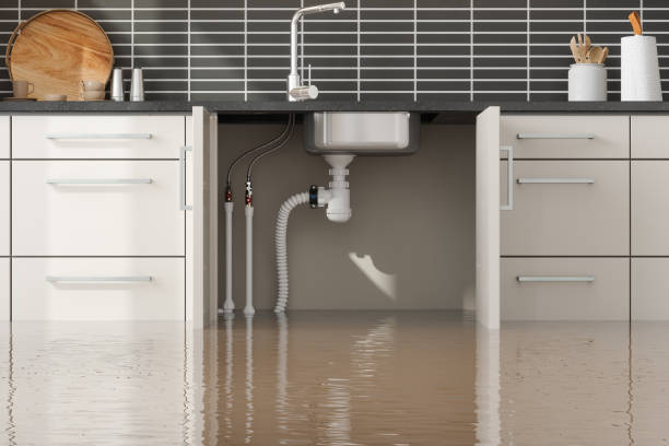 Best Flooded house restoration  in Wakeman, OH