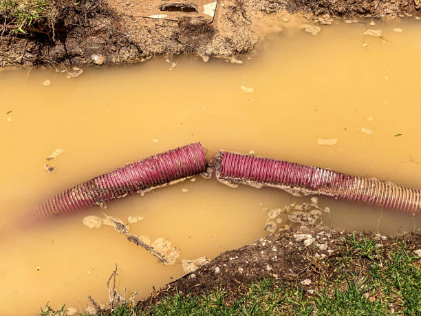 Best Residential water damage restoration  in Wakeman, OH