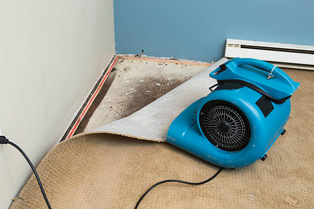 24/7 water damage repair in Wakeman, OH